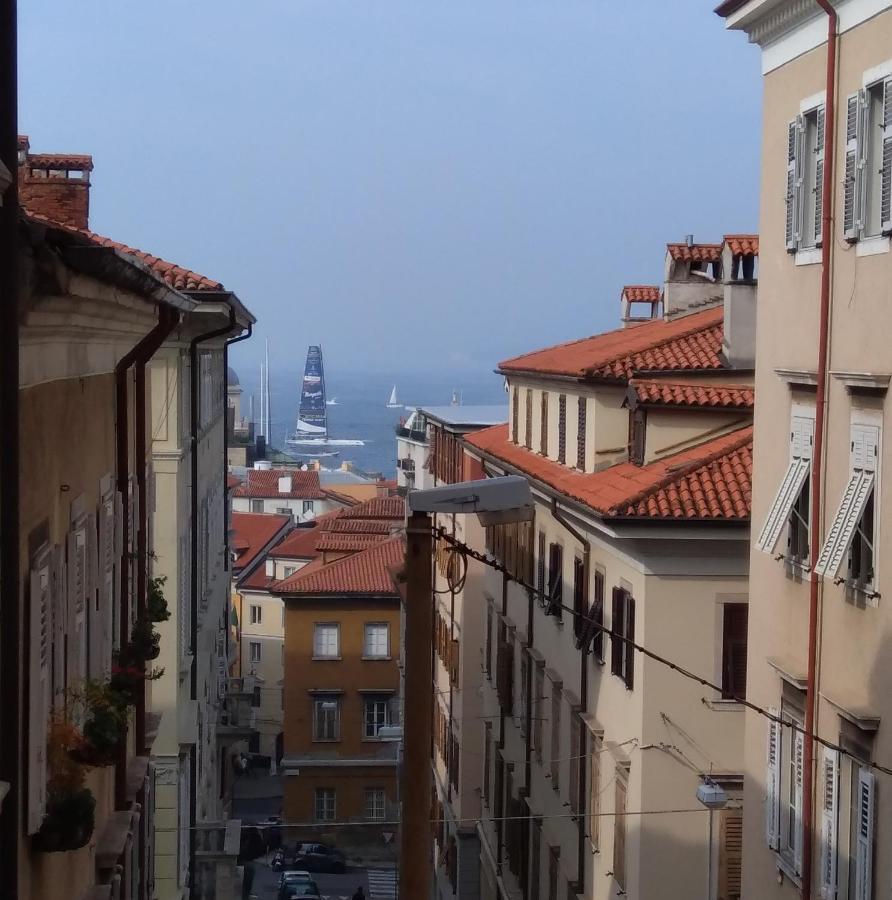 Casa Antica - Historical Apartment In Old City Center トリエステ エクステリア 写真